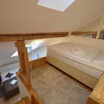 Attic Josefov Mit Eigener Terrasse By Interhome